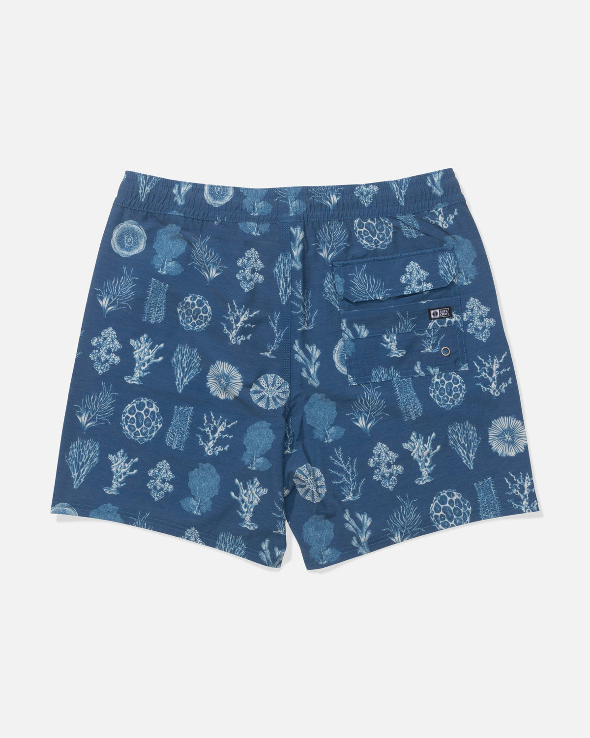 CREW VOLLEY - Cast Blue | Salty Crew Premium