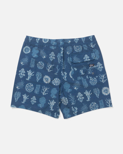 CREW VOLLEY - Cast Blue | Salty Crew Premium
