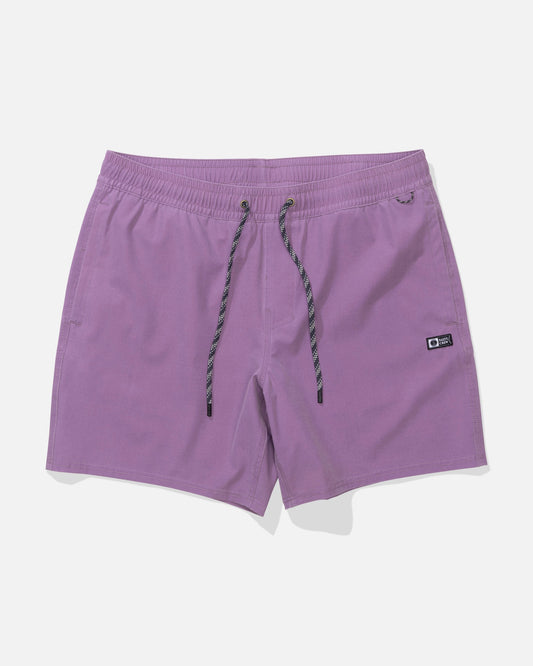 SEADOG VOLLEY - Grape | Salty Crew Premium