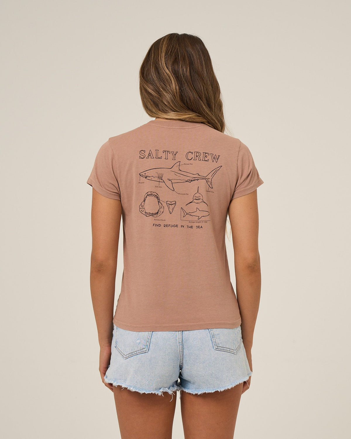 SHARK ANATOMY MODERN TEE - Mocha | Salty Crew Premium