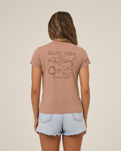SHARK ANATOMY MODERN TEE - Mocha | Salty Crew Premium