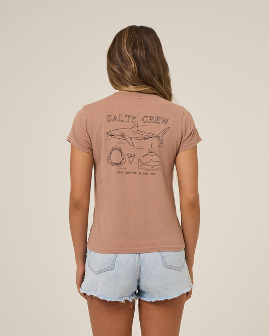 SHARK ANATOMY MODERN TEE - Mocha | Salty Crew Premium