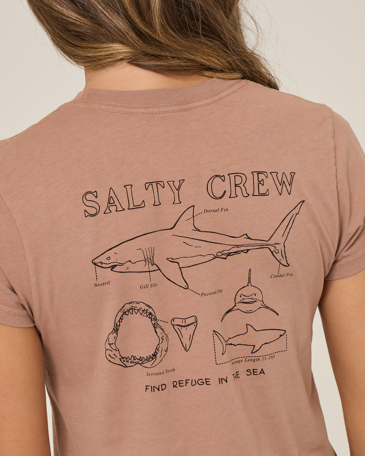 SHARK ANATOMY MODERN TEE - Mocha | Salty Crew Premium