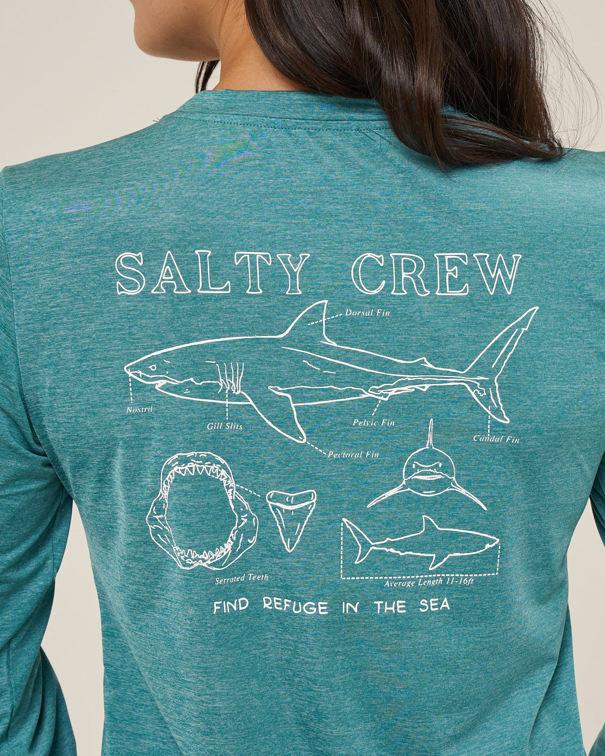 SHARK ANATOMY SUNSHIRT - Teal | Salty Crew Premium