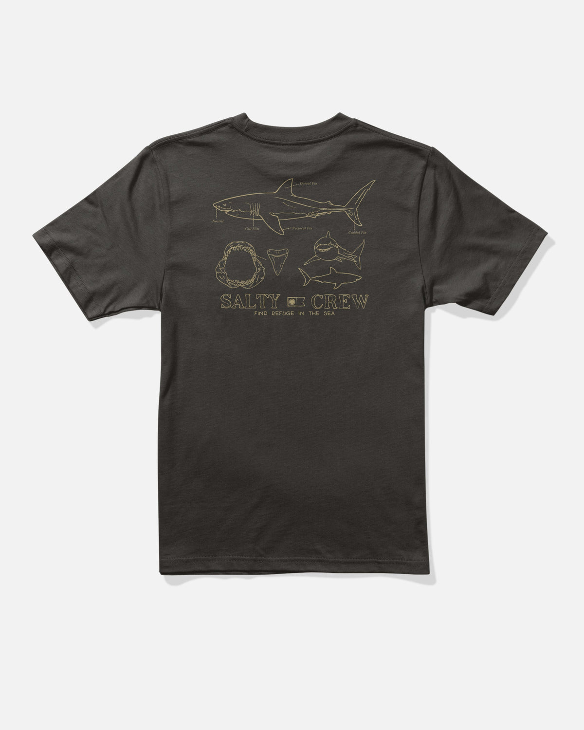 GREAT WHITE BOYS SS TEE - BLACK | Salty Crew Premium