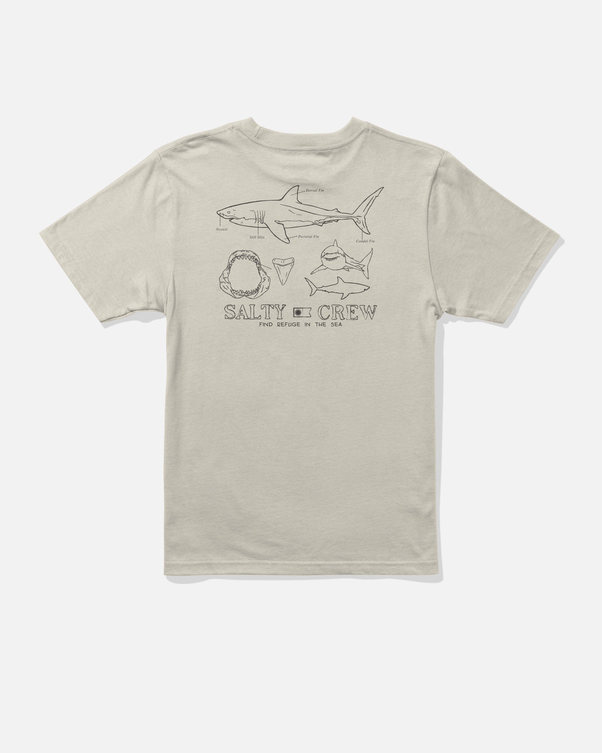 GREAT WHITE BOYS SS TEE - Bone | Salty Crew Premium