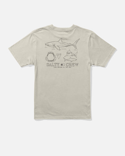 GREAT WHITE BOYS SS TEE - Bone | Salty Crew Premium