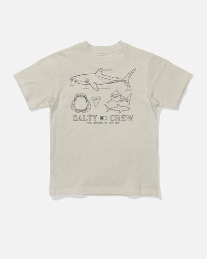 GREAT WHITE TDDLR SS TEE - Bone | Salty Crew Premium