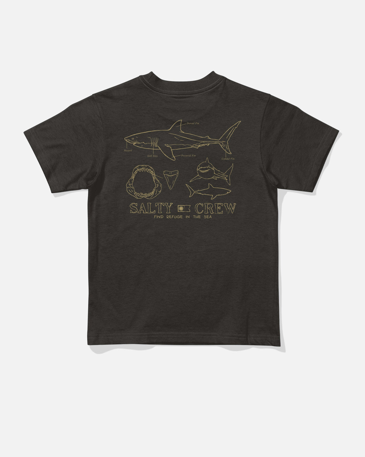 GREAT WHITE TDDLR SS TEE - BLACK | Salty Crew Premium