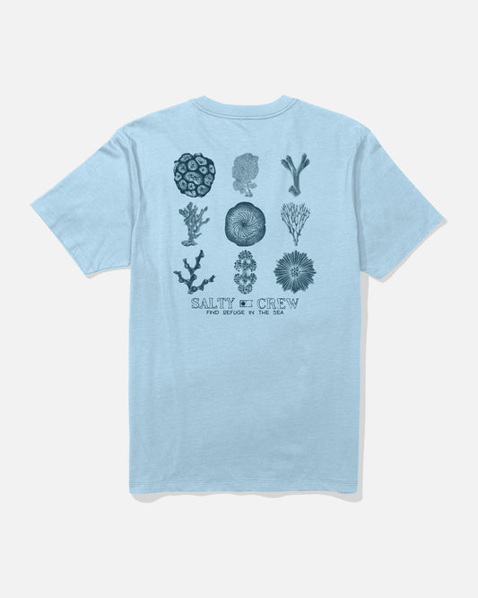 CORAL HEAD SS TEE - Clear Sky | Salty Crew Premium